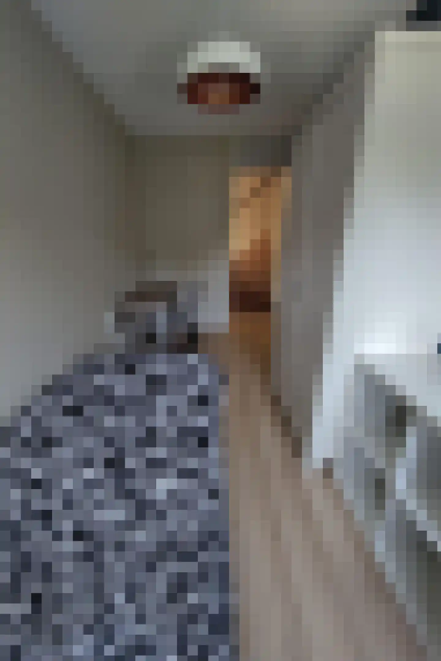 De Tuinen 6 Schagen thumbnail 20