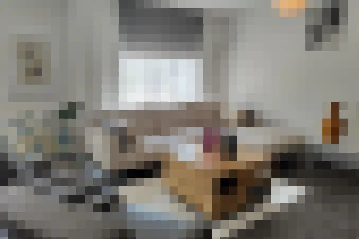 De Tuinen 6 Schagen foto 3