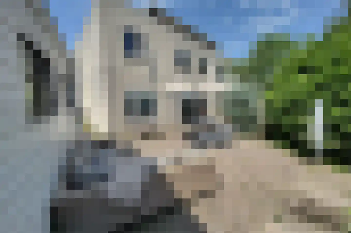 De Tuinen 6 Schagen thumbnail 33