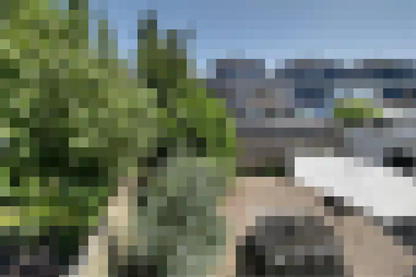 De Tuinen 6 Schagen thumbnail 37