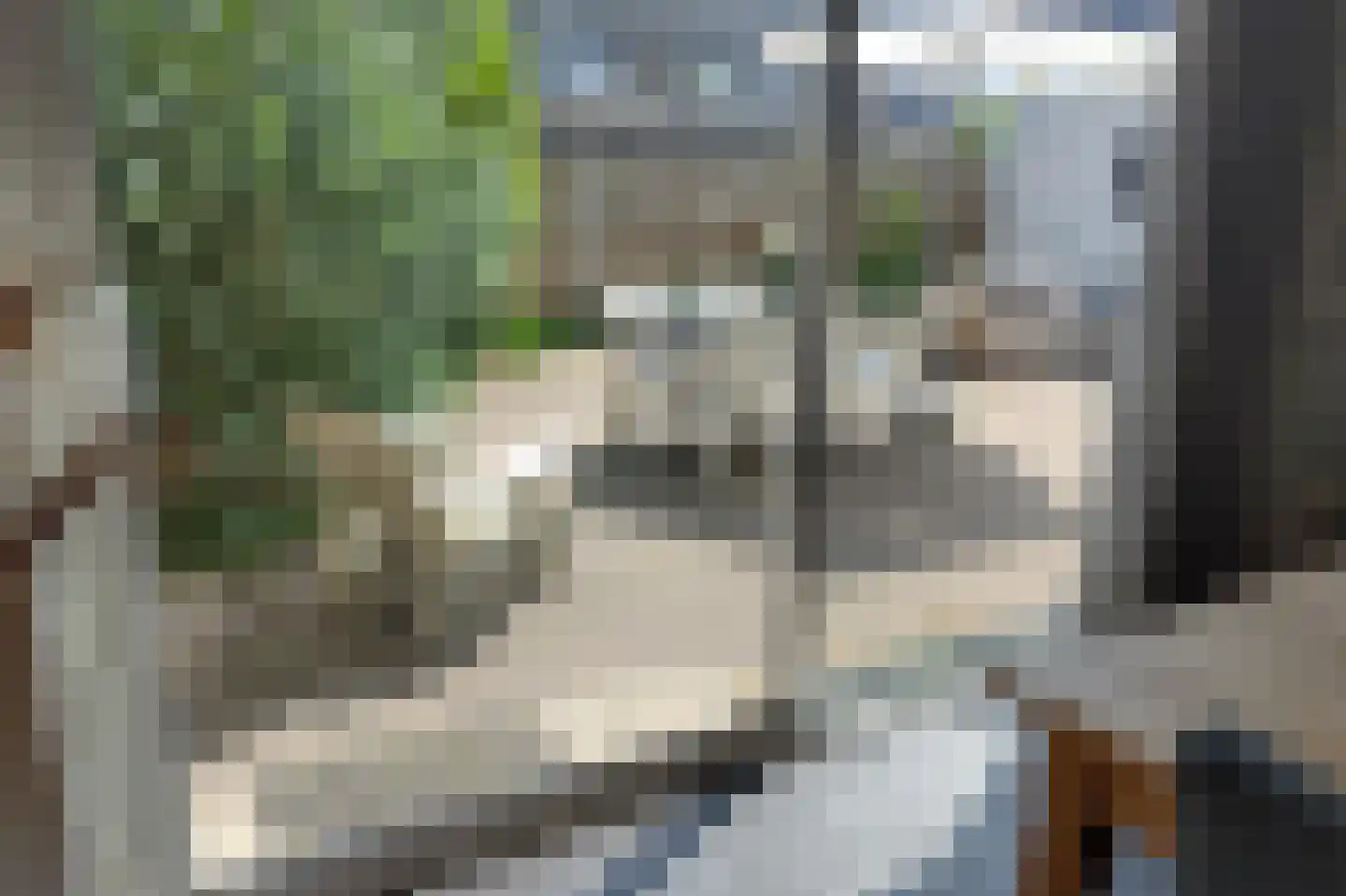 De Tuinen 6 Schagen thumbnail 4