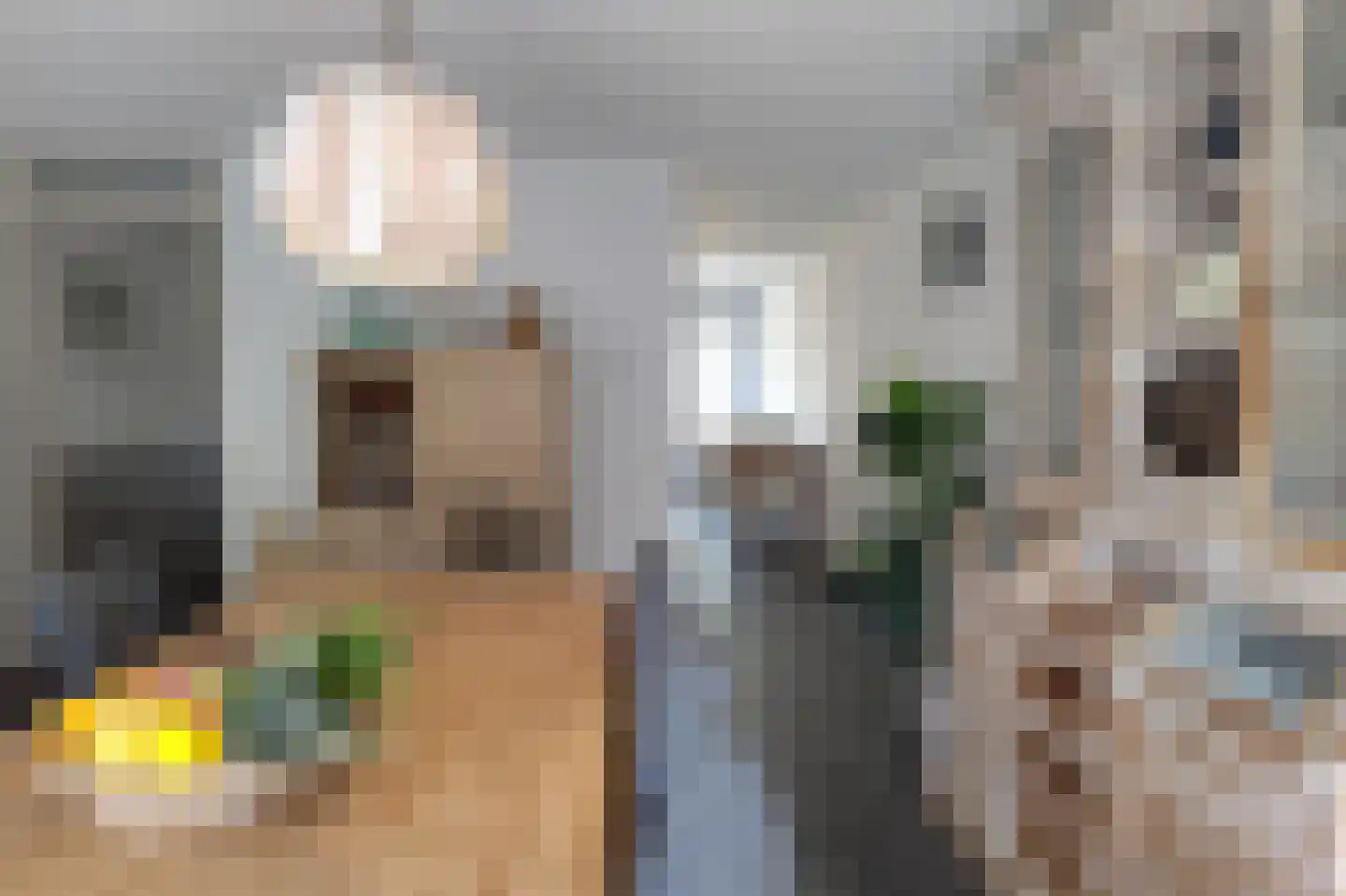 De Tuinen 6 Schagen thumbnail 5