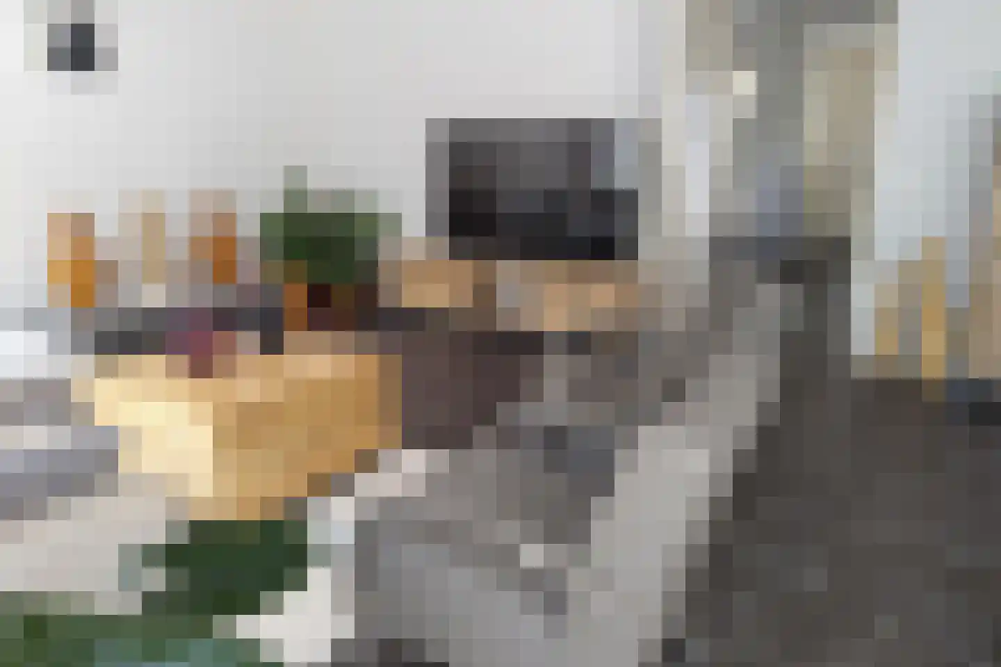 De Tuinen 6 Schagen thumbnail 6