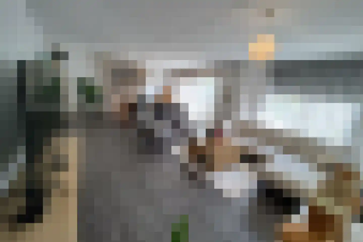 De Tuinen 6 Schagen thumbnail 9