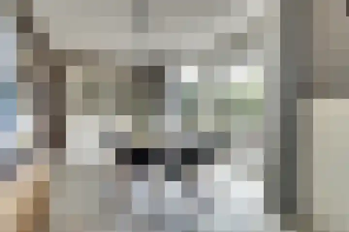 De Tuintjes 22 Zundert thumbnail 11