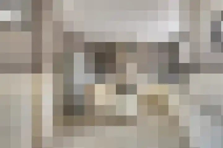 De Tuintjes 22 Zundert thumbnail 12
