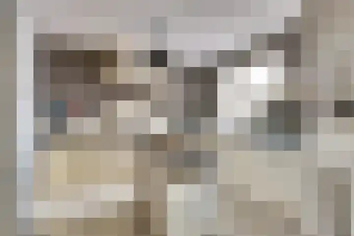De Tuintjes 22 Zundert thumbnail 13