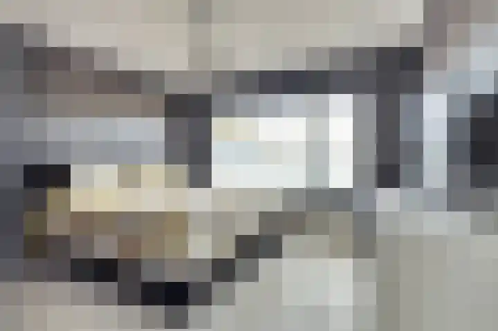 De Tuintjes 22 Zundert thumbnail 20