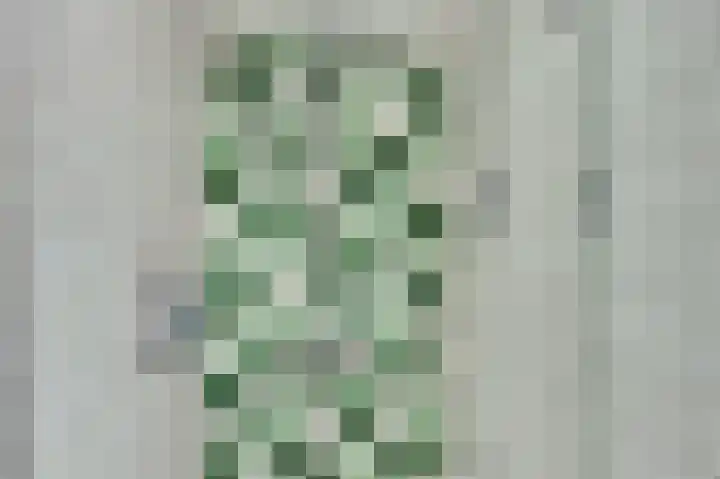 De Tuintjes 22 Zundert thumbnail 26