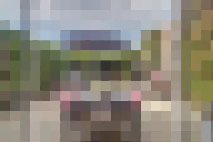 De Tuintjes 22 Zundert thumbnail 28