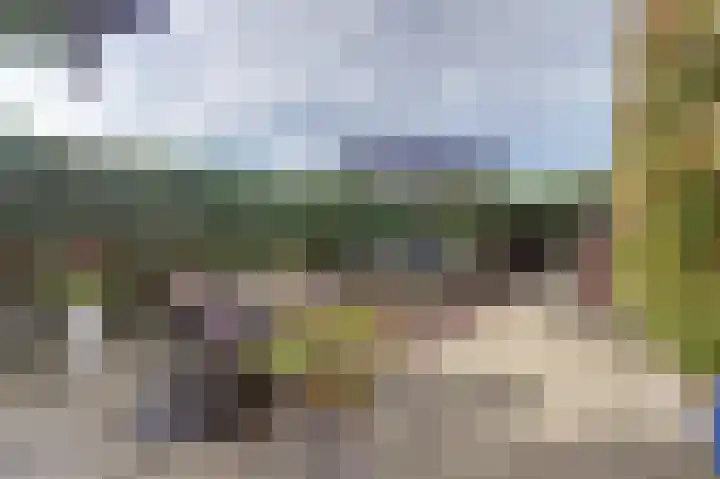 De Tuintjes 22 Zundert thumbnail 29
