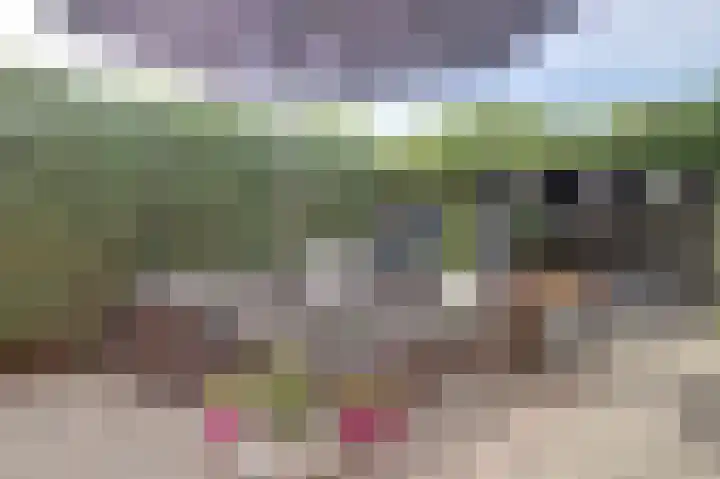 De Tuintjes 22 Zundert thumbnail 30