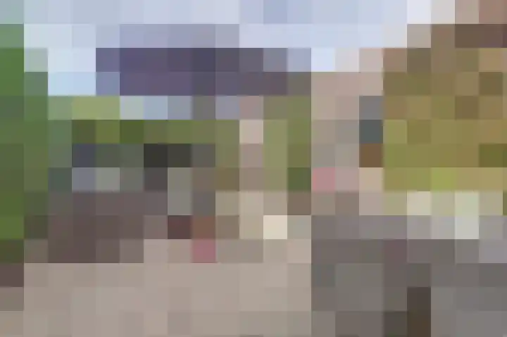 De Tuintjes 22 Zundert thumbnail 31