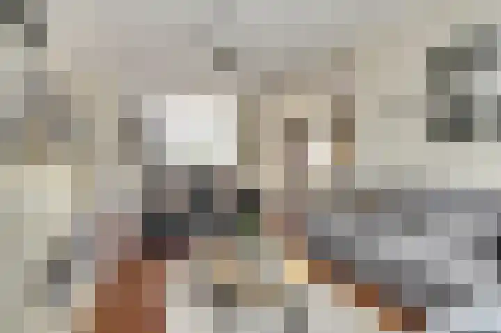 De Tuintjes 22 Zundert thumbnail 6