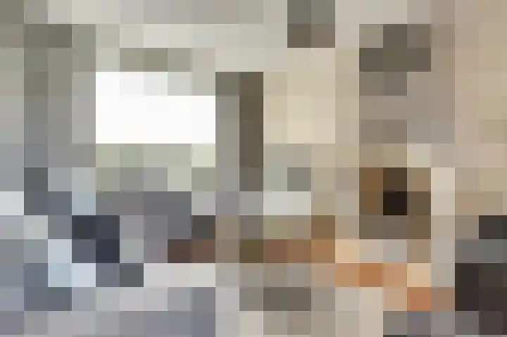 De Tuintjes 22 Zundert thumbnail 7
