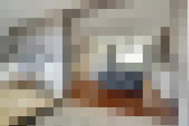De Tuintjes 22 Zundert thumbnail 9