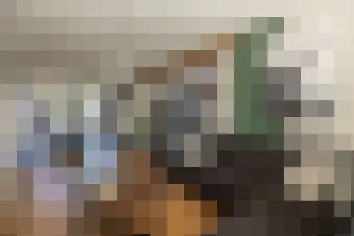 De Tuintjes 34 Zundert thumbnail 10