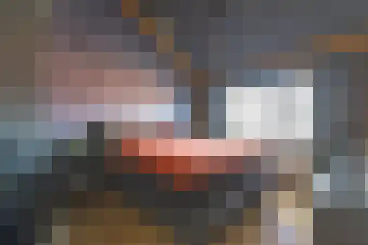 De Tuintjes 34 Zundert thumbnail 20