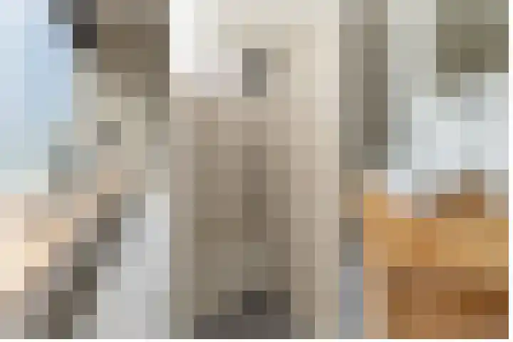 De Tuintjes 34 Zundert thumbnail 25