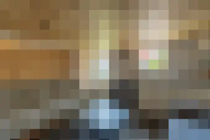De Tuintjes 34 Zundert thumbnail 27