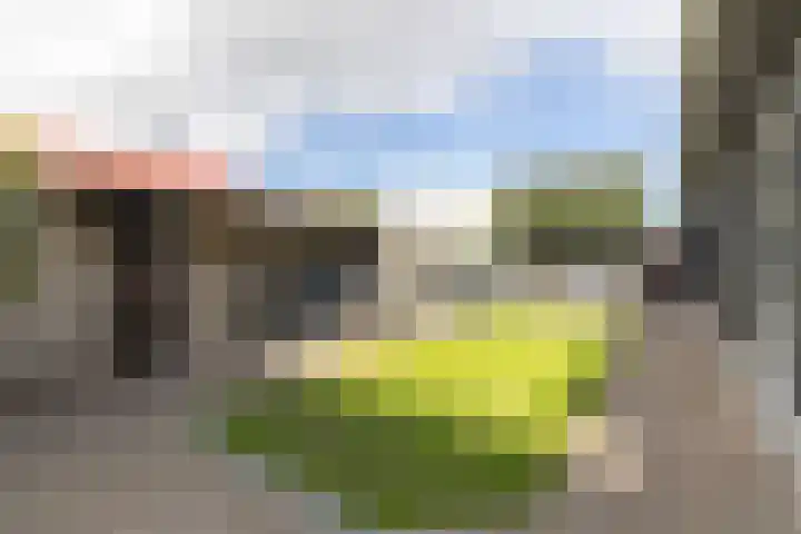 De Tuintjes 34 Zundert thumbnail 31