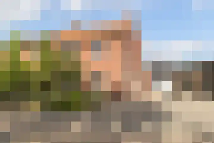 De Tuintjes 34 Zundert thumbnail 39