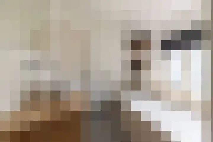 De Tuintjes 34 Zundert thumbnail 4