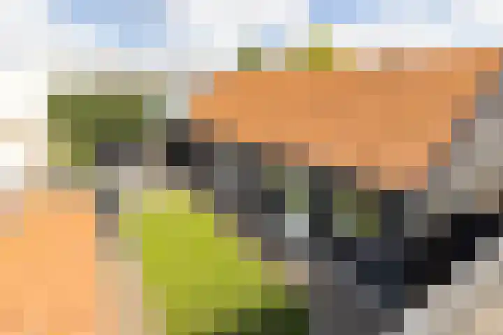 De Tuintjes 34 Zundert thumbnail 6