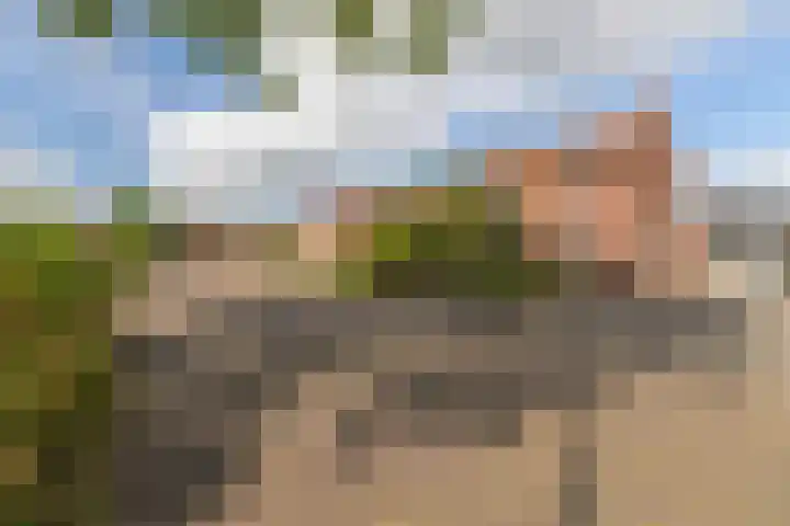 De Tuintjes 34 Zundert thumbnail 7