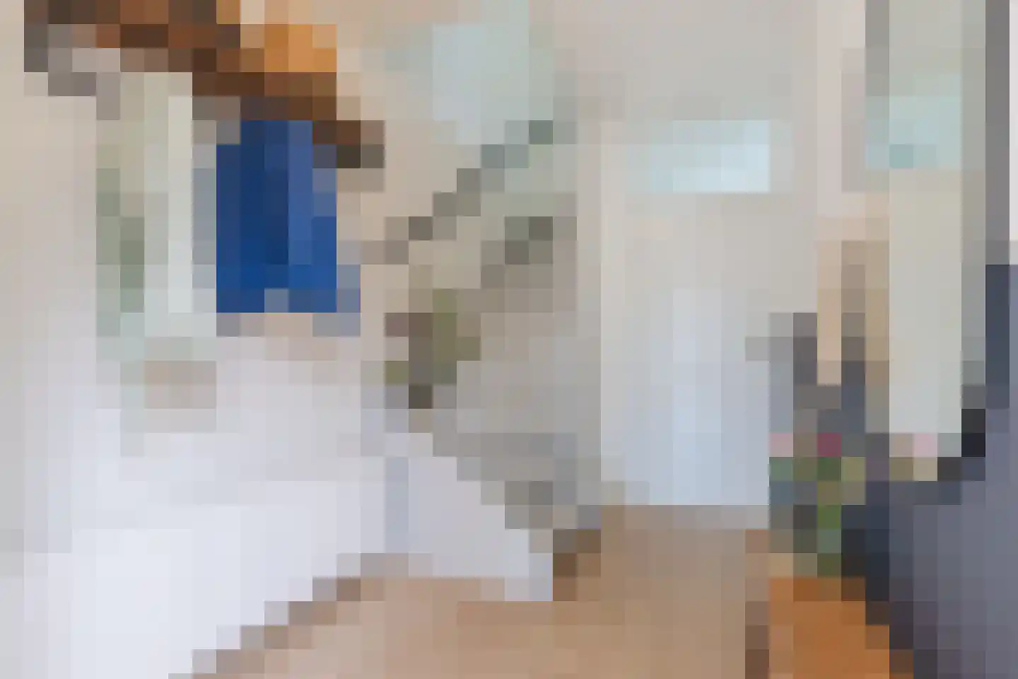 de Tulp 22 Hoogerheide thumbnail 16