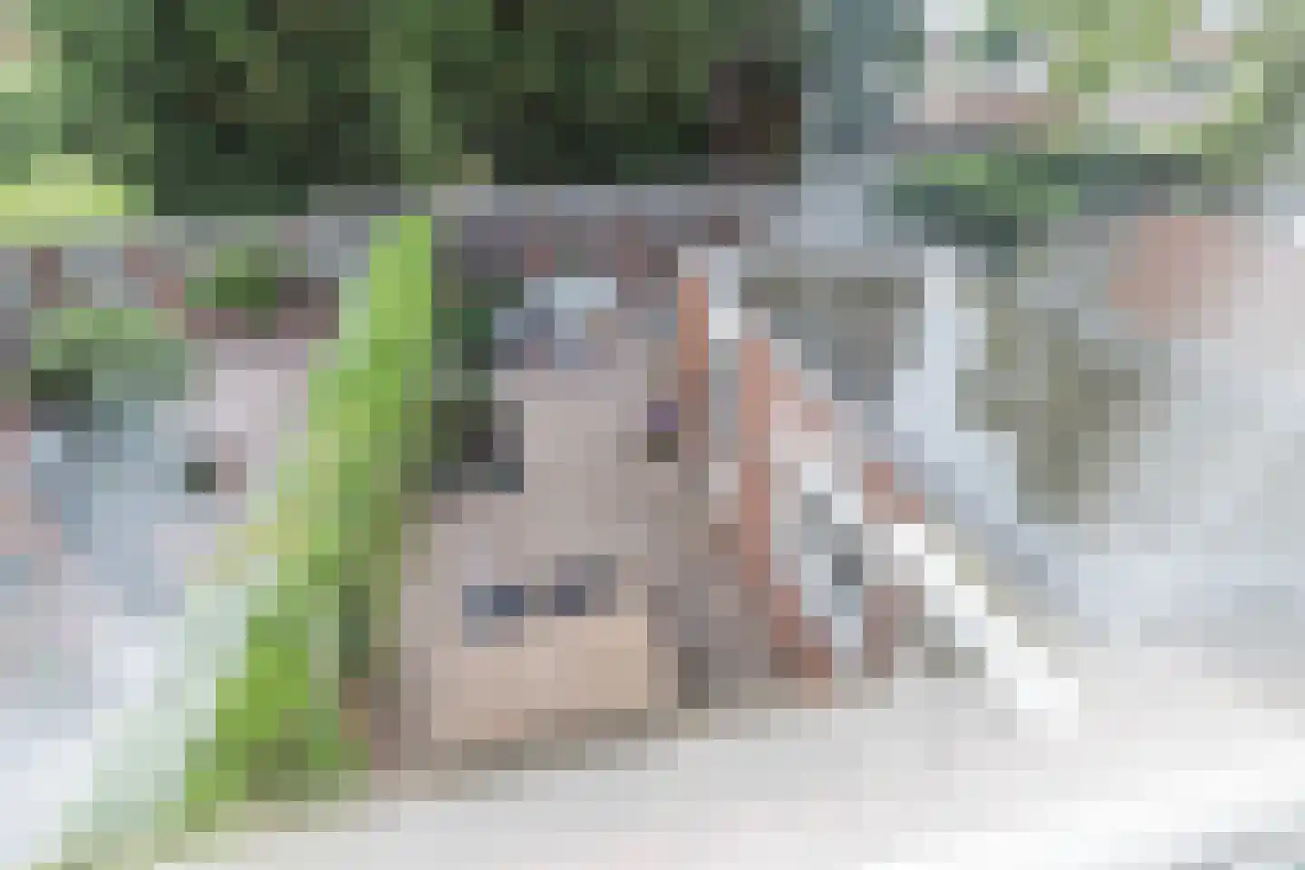 de Tulp 22 Hoogerheide thumbnail 23