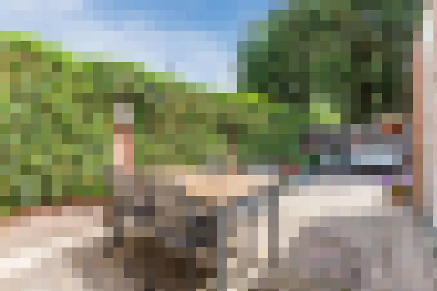 de Tulp 22 Hoogerheide thumbnail 31