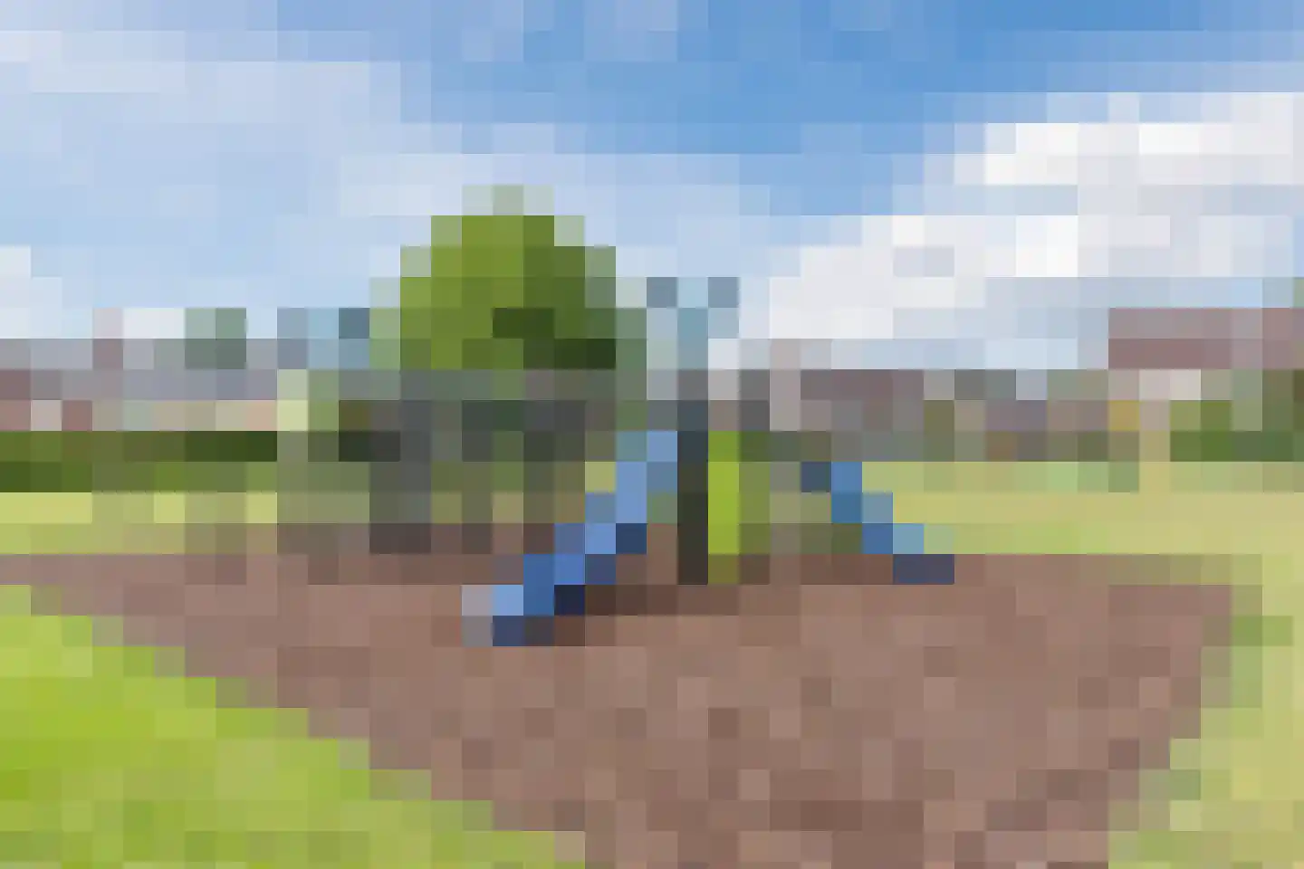 de Tulp 22 Hoogerheide thumbnail 39