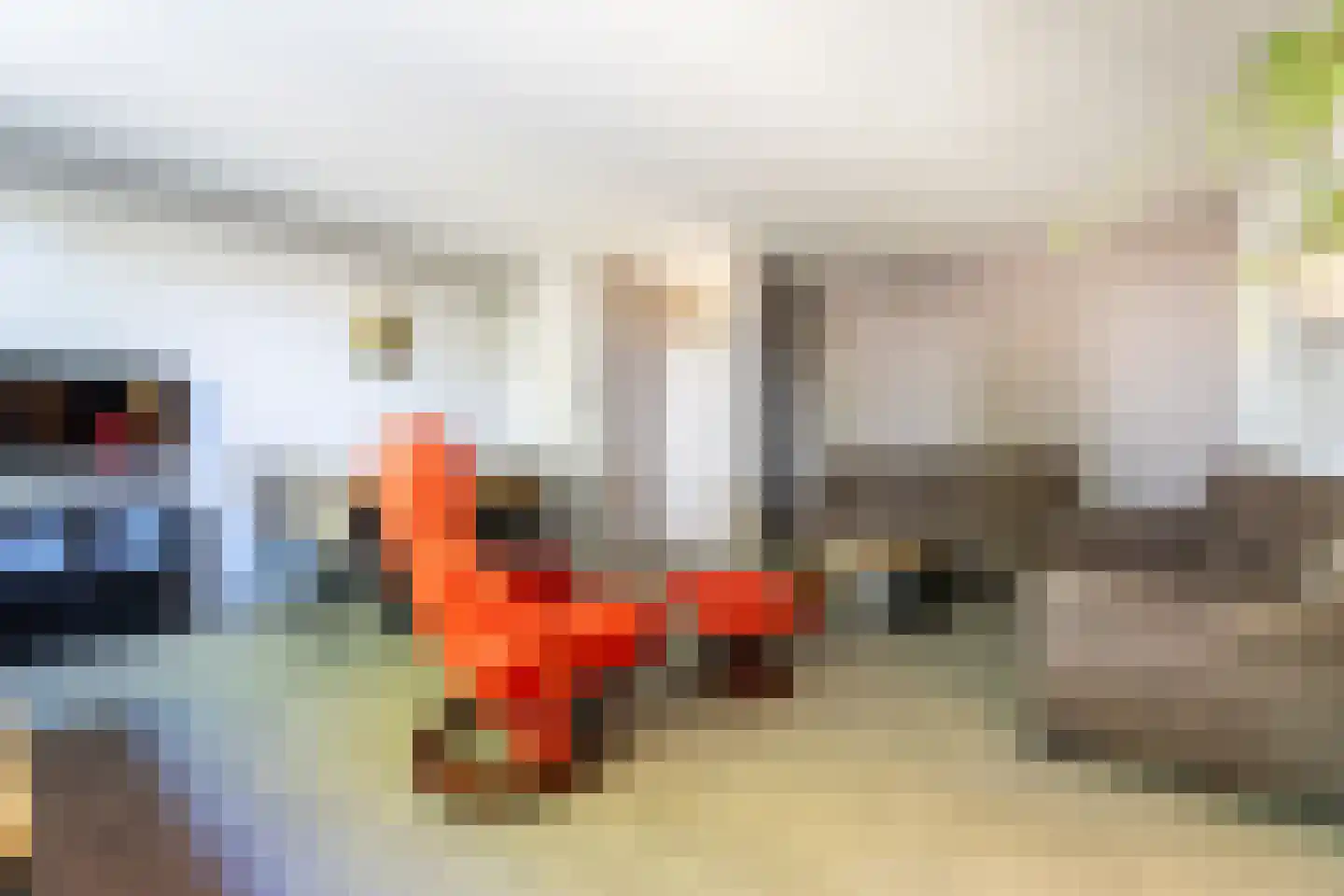 de Tulp 41 Hoogerheide thumbnail 12