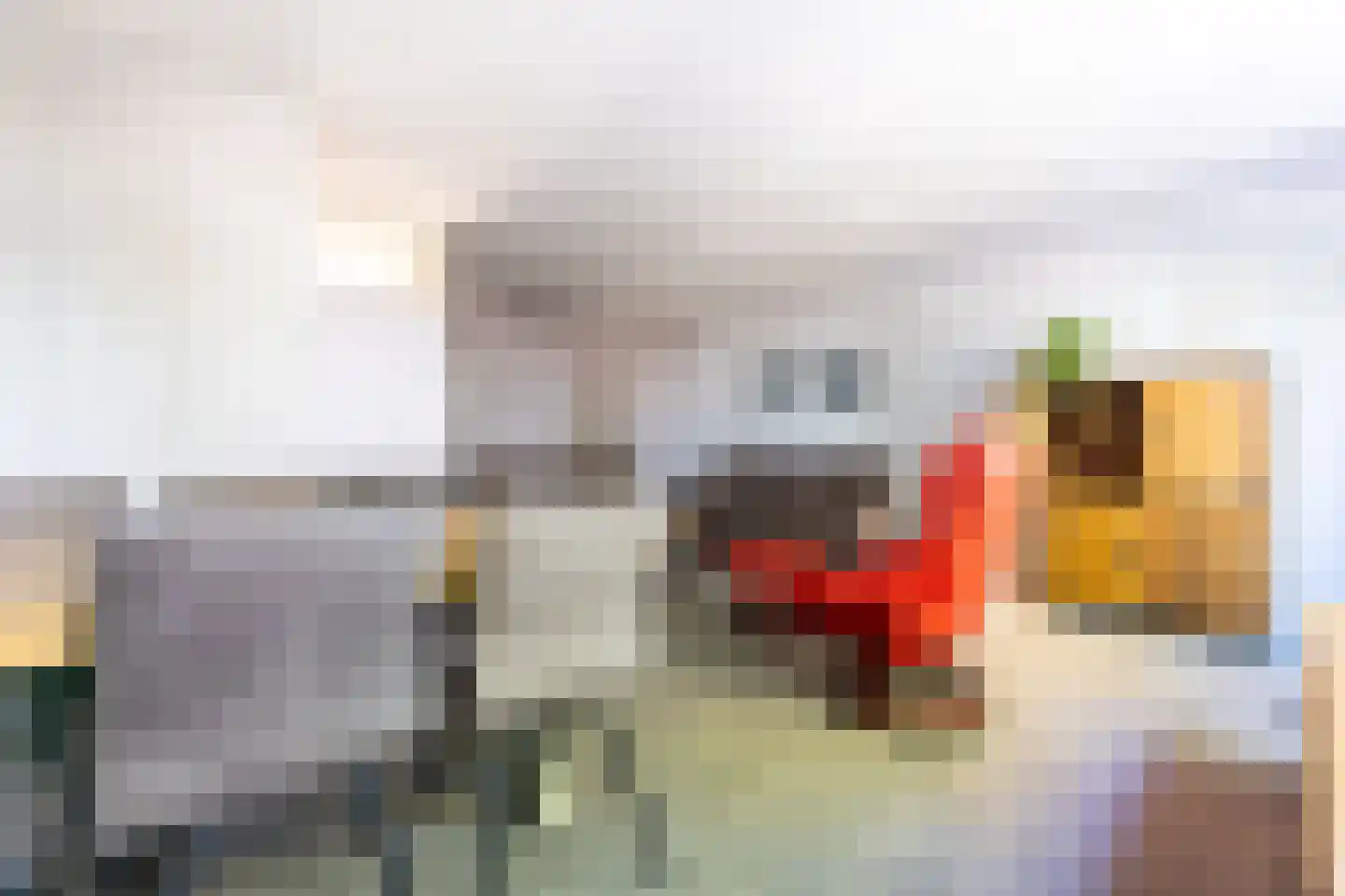 de Tulp 41 Hoogerheide thumbnail 13