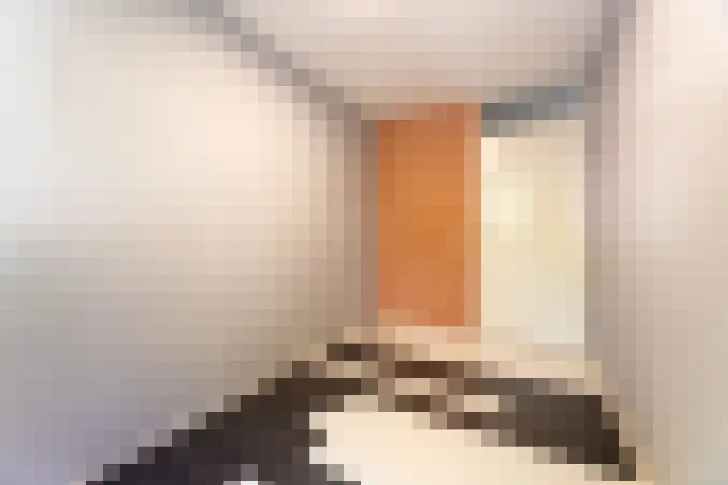 de Tulp 41 Hoogerheide thumbnail 29