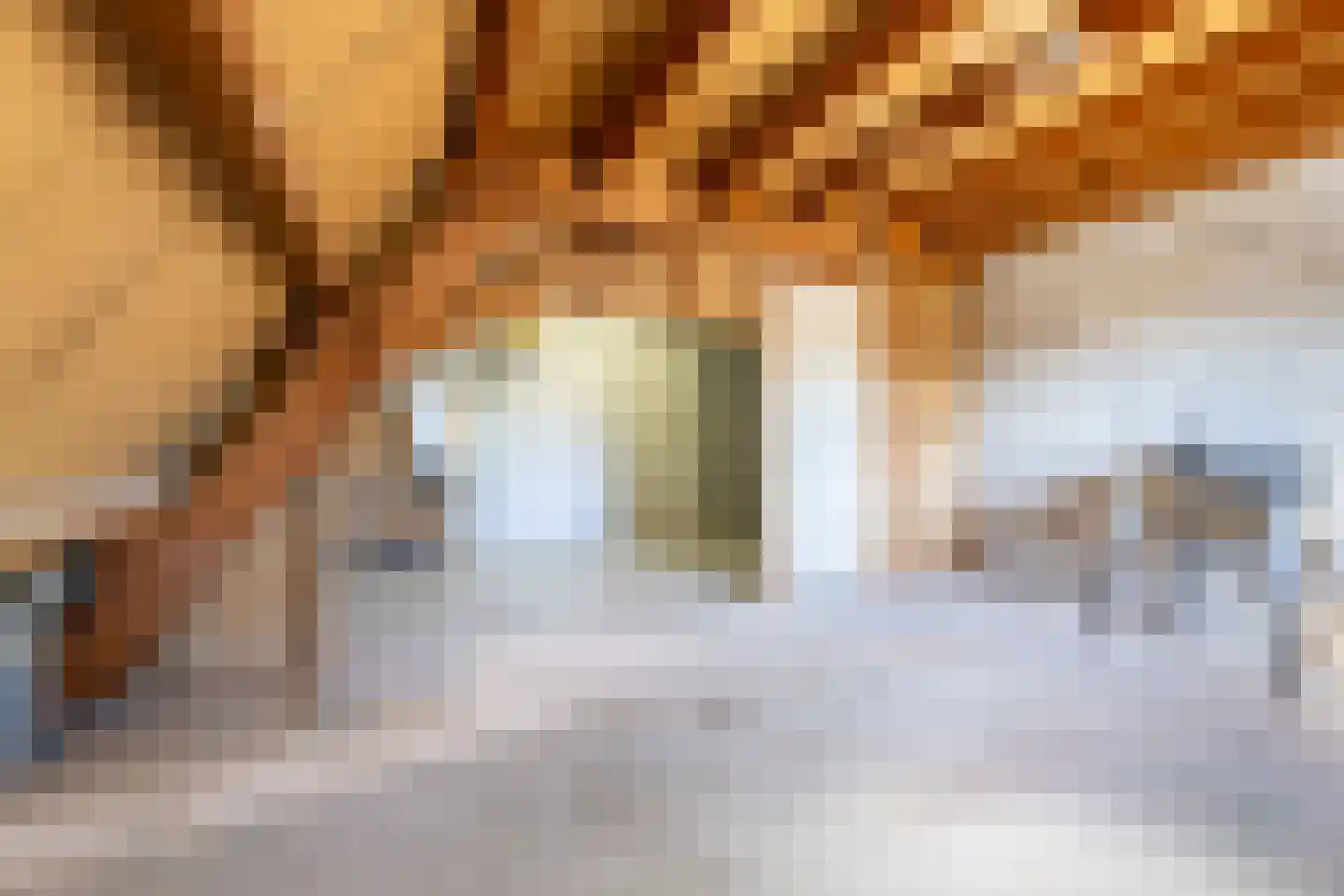 de Tulp 41 Hoogerheide thumbnail 36