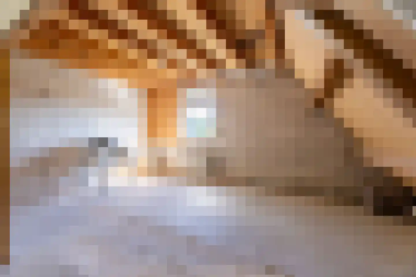 de Tulp 41 Hoogerheide thumbnail 37