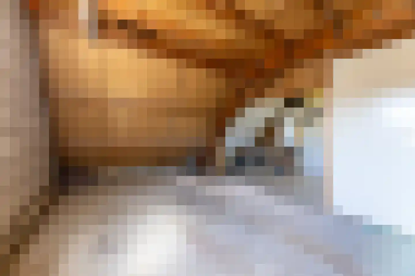de Tulp 41 Hoogerheide thumbnail 38