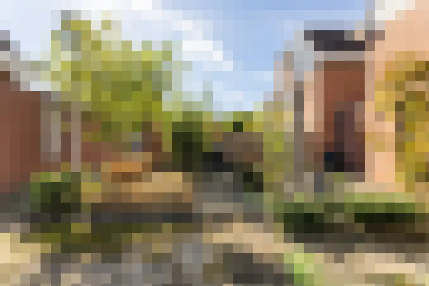 de Tulp 41 Hoogerheide thumbnail 43