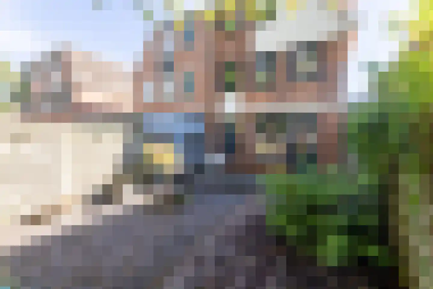 de Tulp 41 Hoogerheide thumbnail 45