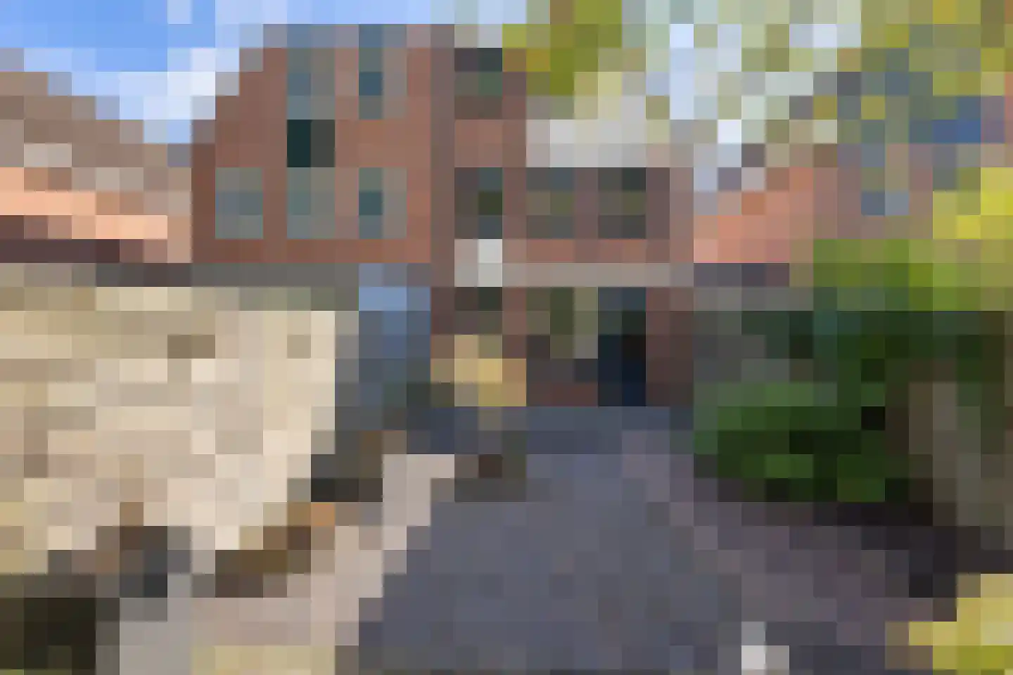 de Tulp 41 Hoogerheide thumbnail 46