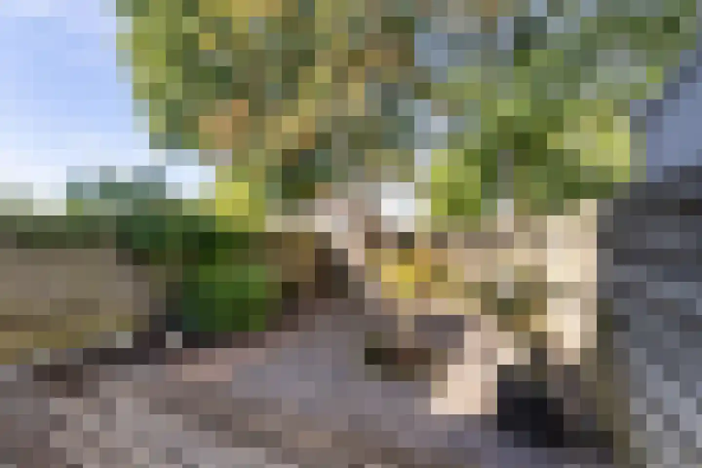 de Tulp 41 Hoogerheide thumbnail 47