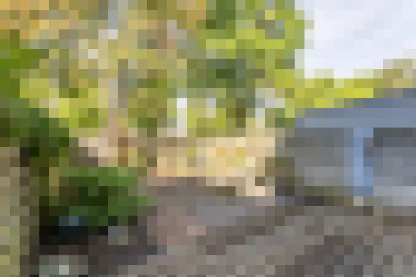 de Tulp 41 Hoogerheide thumbnail 48