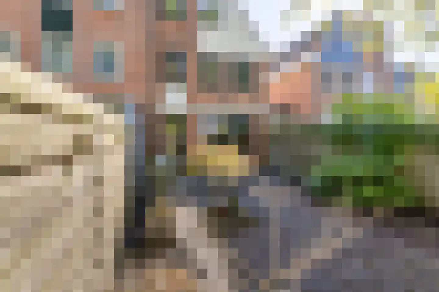 de Tulp 41 Hoogerheide thumbnail 50