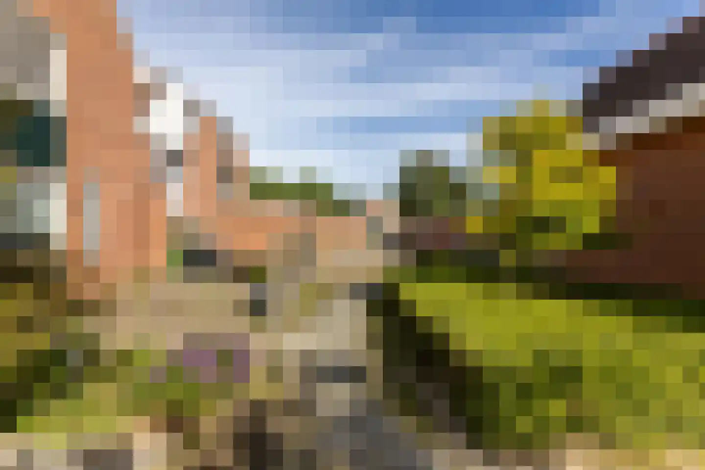 de Tulp 41 Hoogerheide thumbnail 51