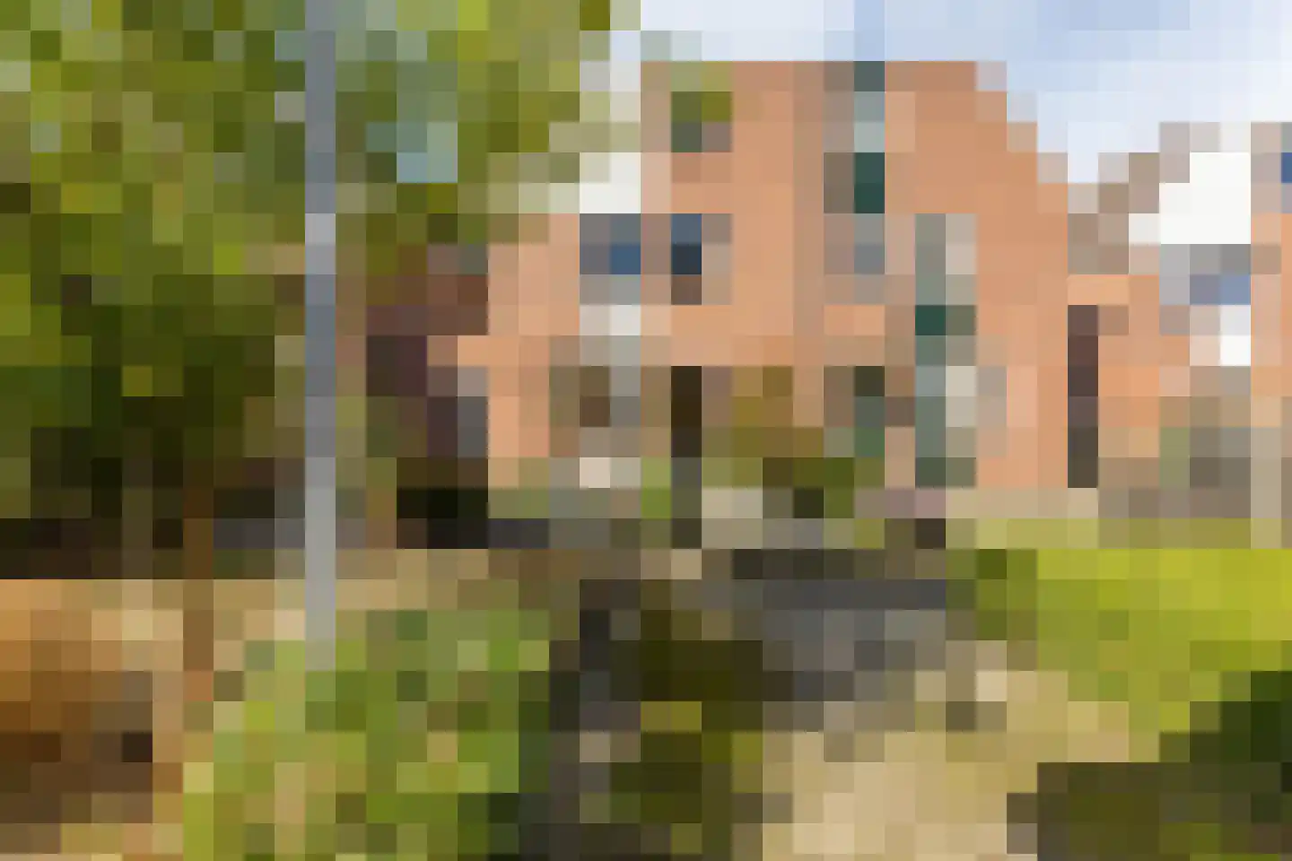 de Tulp 41 Hoogerheide thumbnail 52