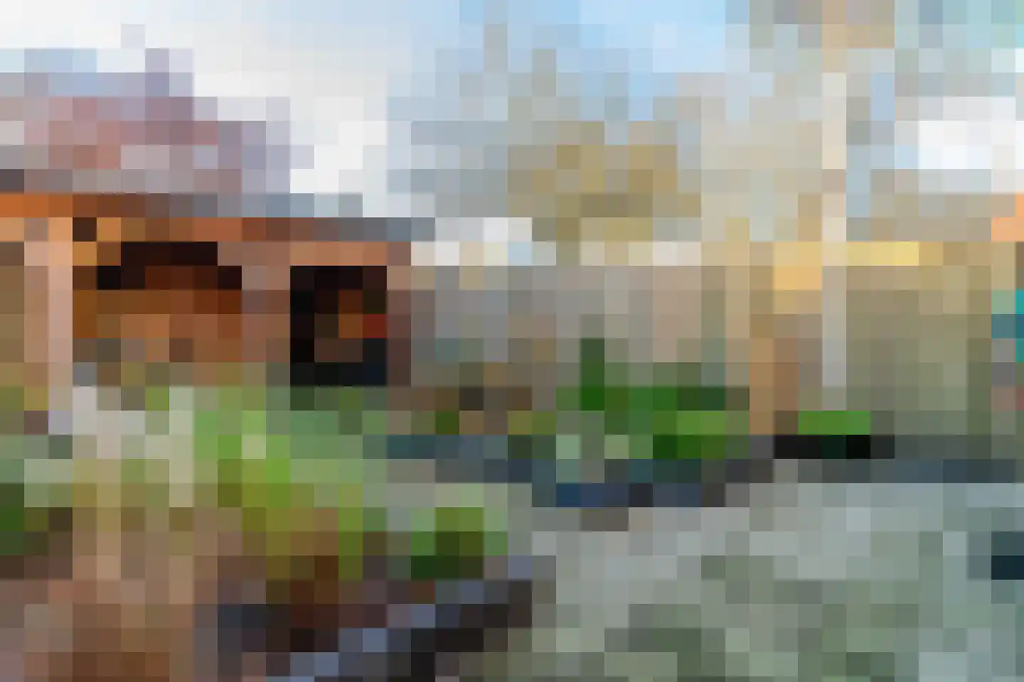 de Tulp 44 Hoogerheide thumbnail 42