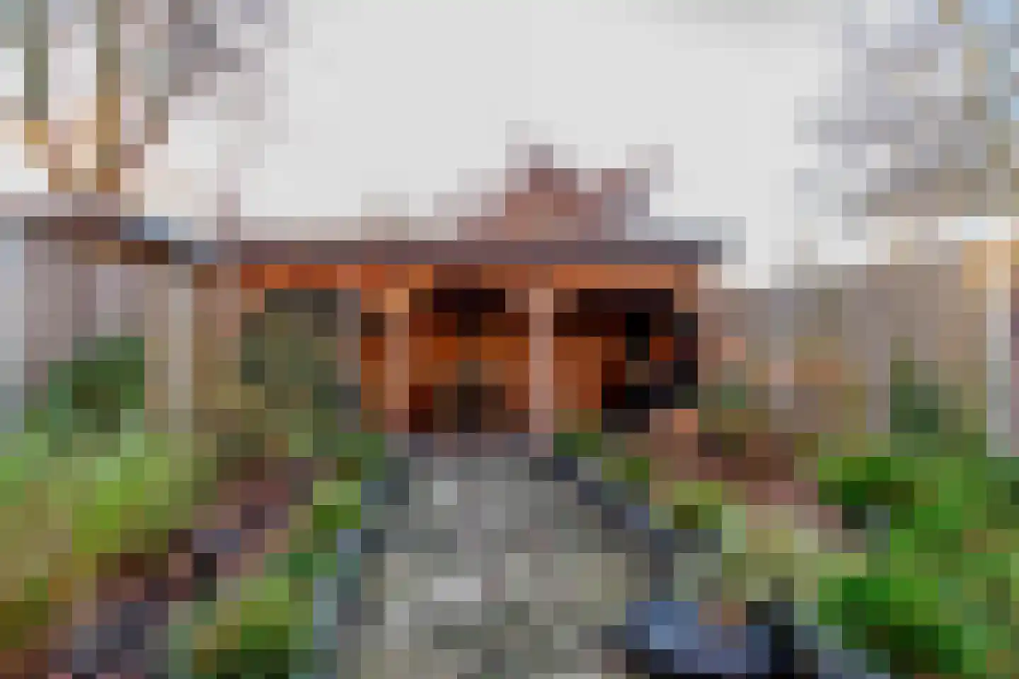 de Tulp 44 Hoogerheide thumbnail 45