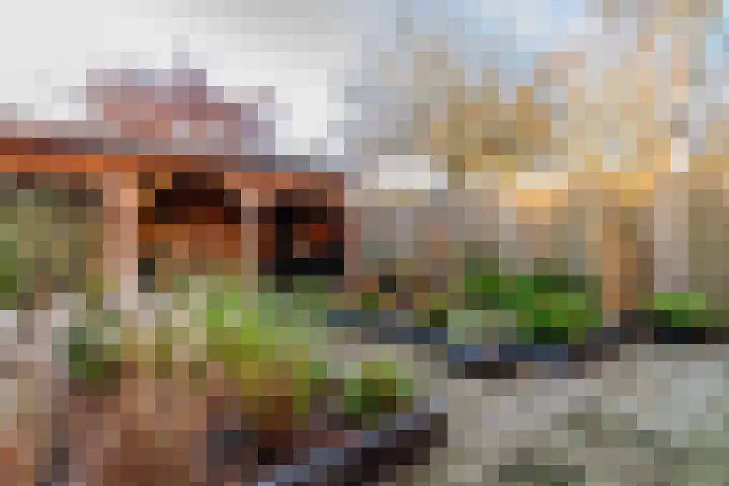 de Tulp 44 Hoogerheide thumbnail 46